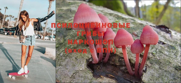 Альфа ПВП Баксан